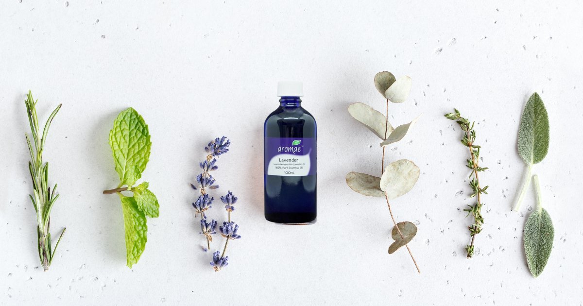 Discover the Calming Power of Lavender Essential Oil: Your Go-To Guide for Wellness - Aromae Essentials