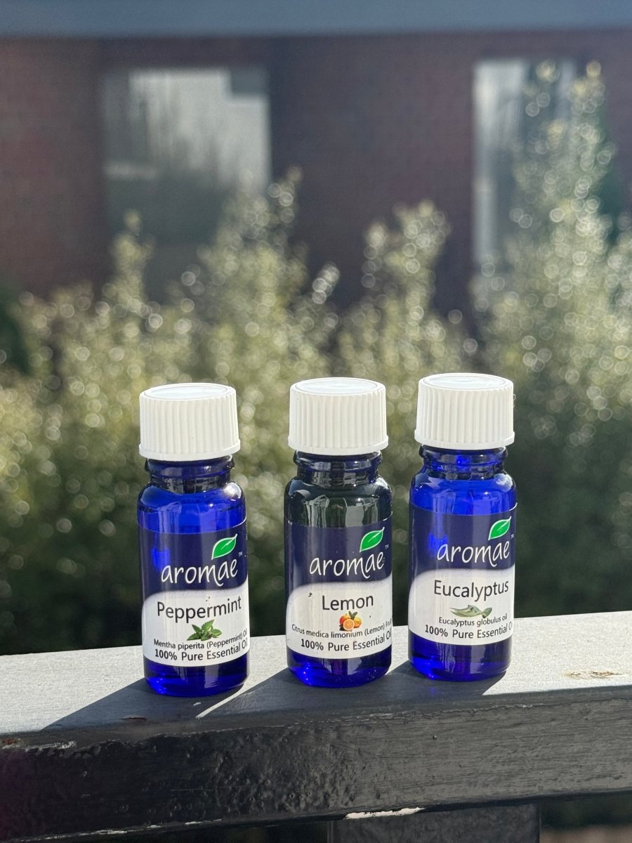 Essential Oils - Aromae Essentials