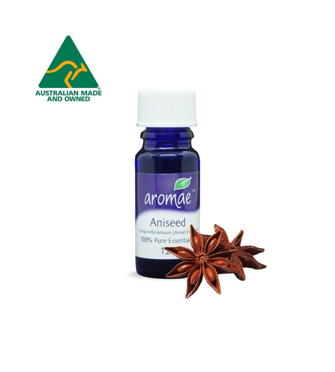 Aniseed Essential Oil (Star Anise) 12ml - Aromae Essentials