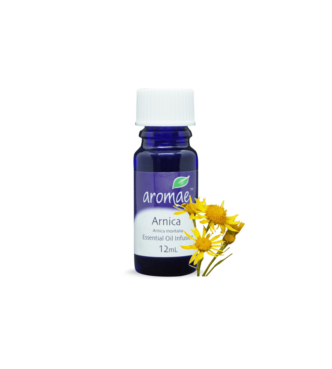 Arnica - Aromae Essentials