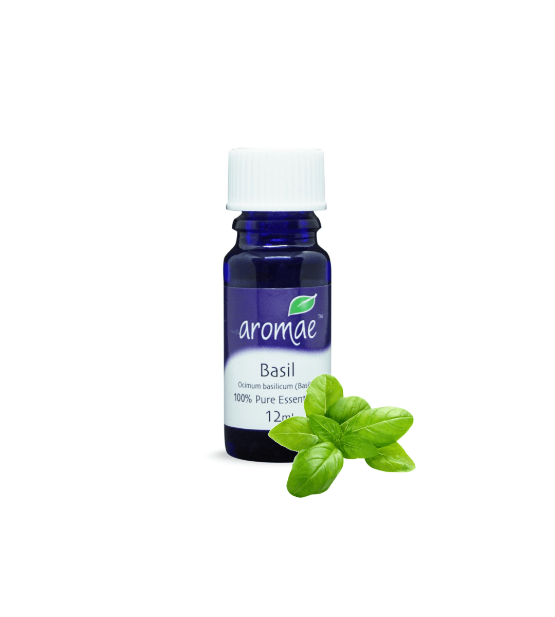 Basil - Aromae Essentials