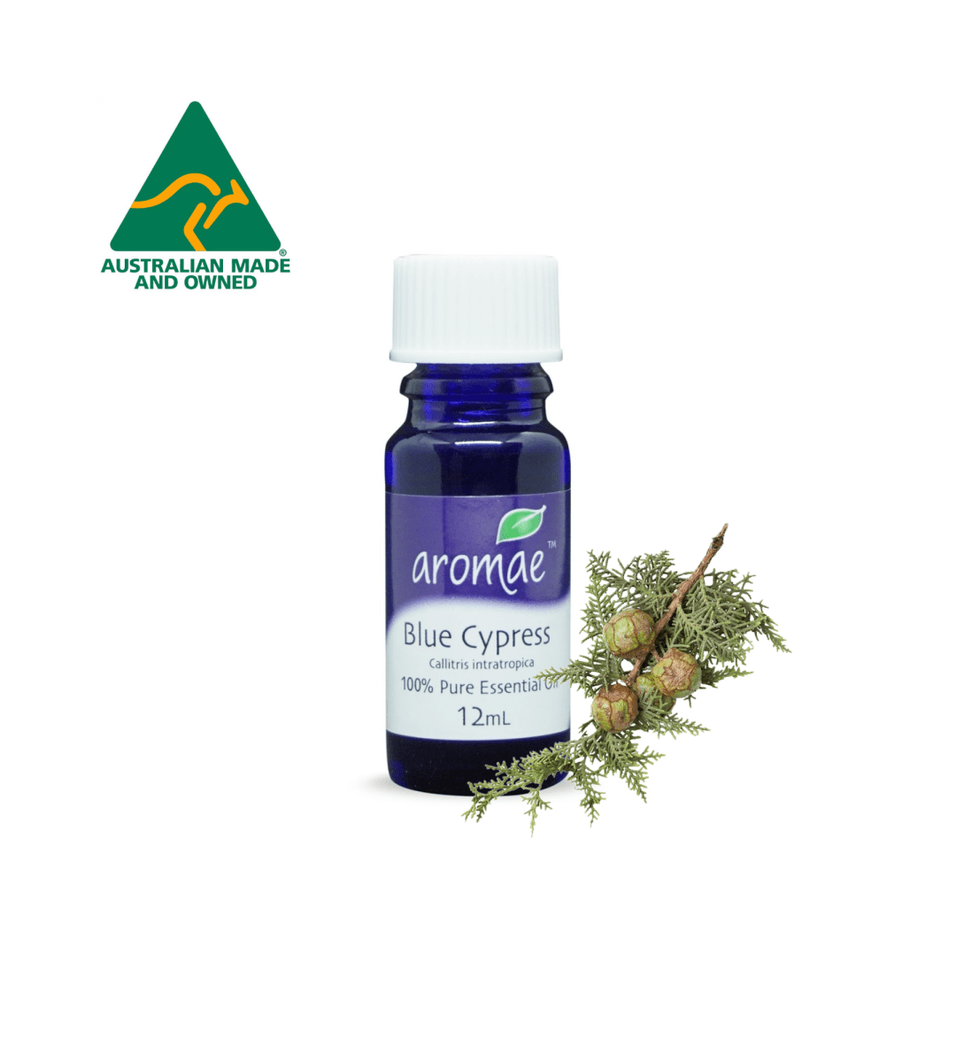 Blue Cypress - Aromae Essentials