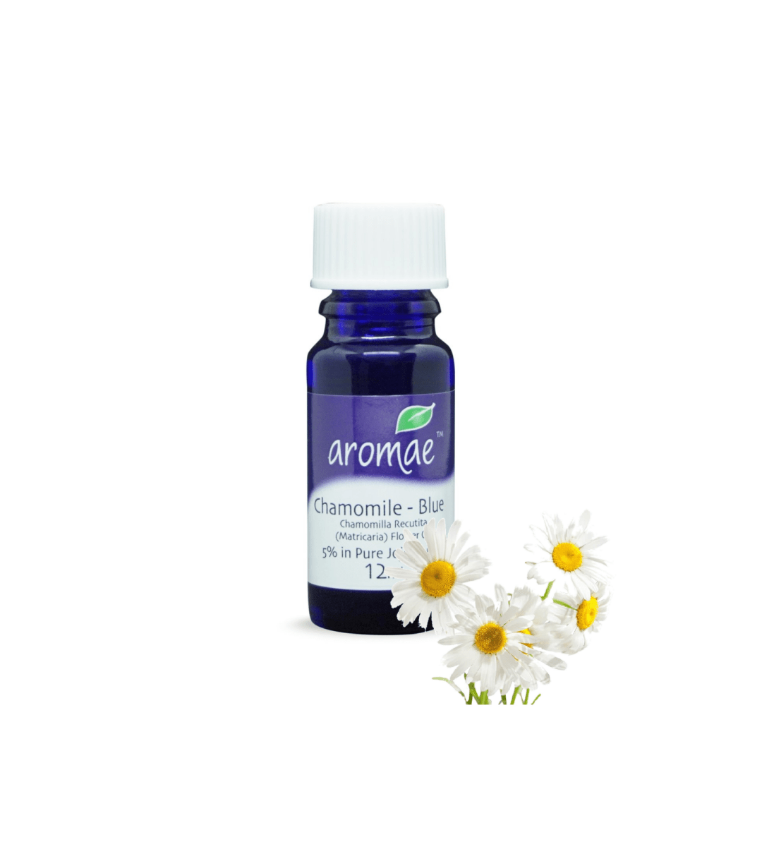 Chamomile Blue (5% in Jojoba) - Aromae Essentials
