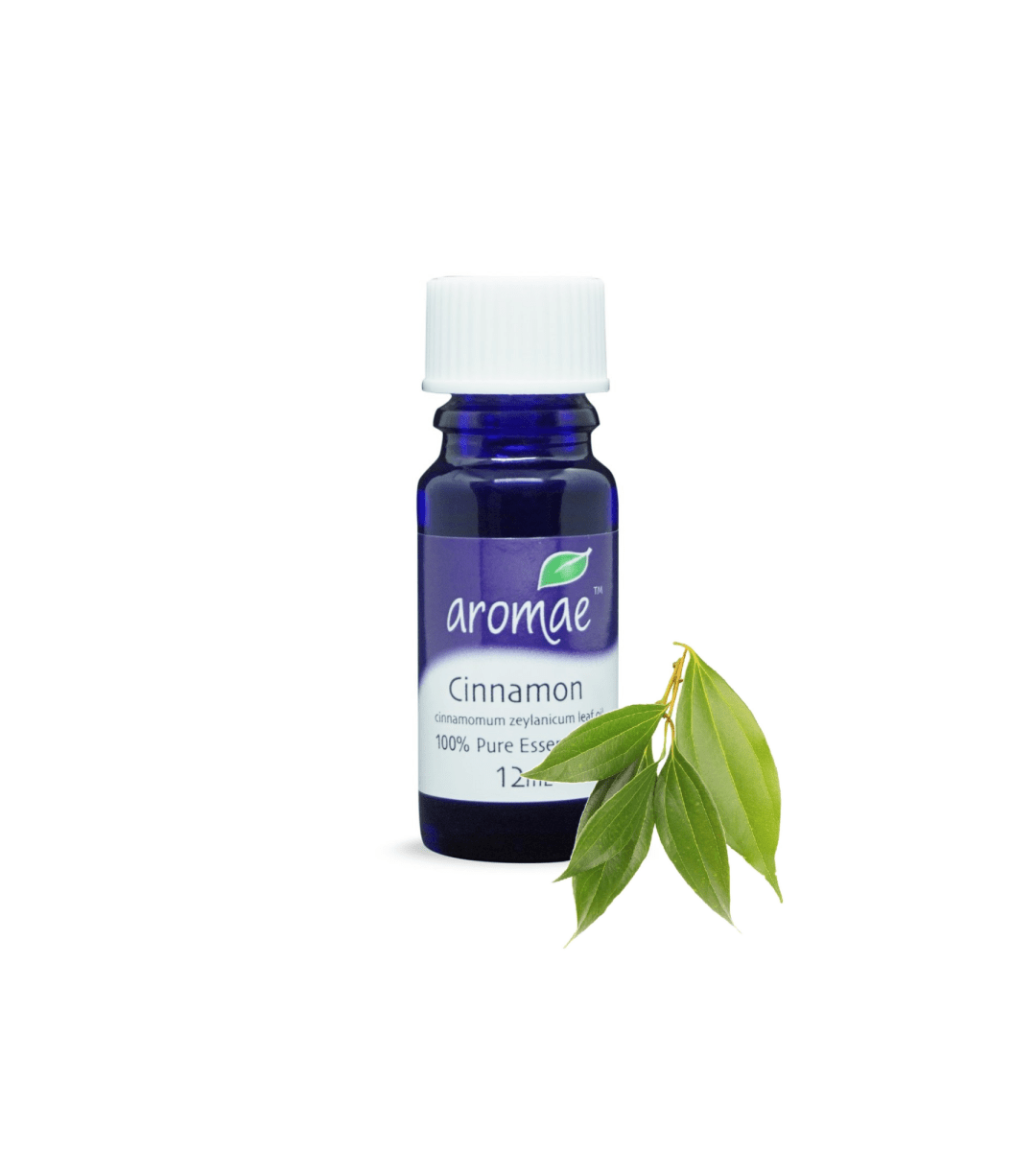 Cinnamon Leaf - Aromae Essentials