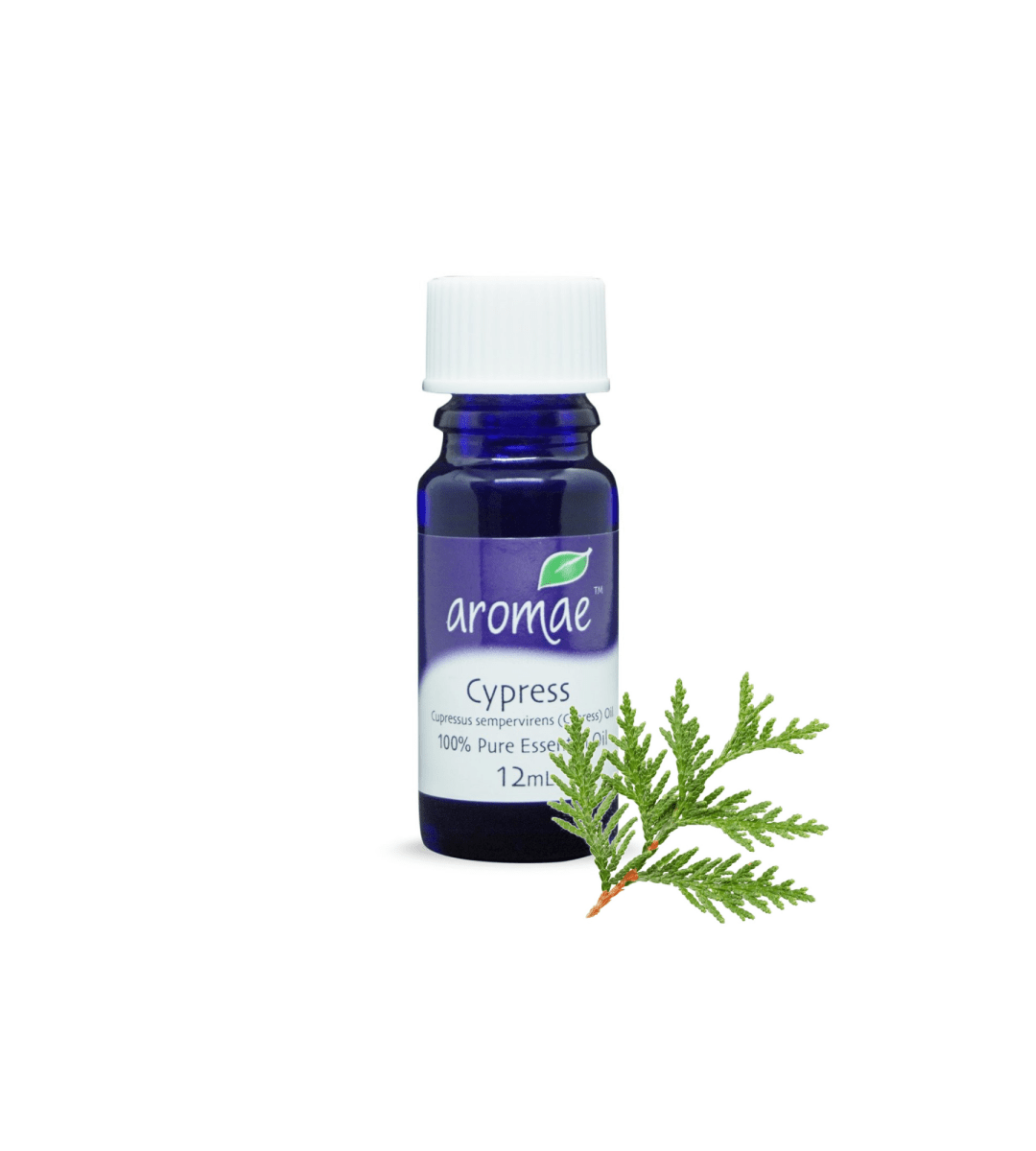 Cypress - Aromae Essentials