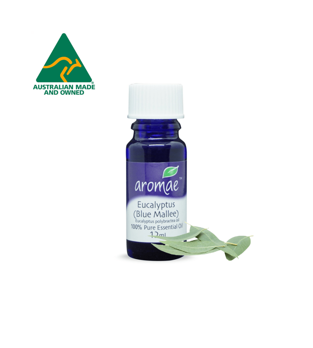 Eucalyptus (Blue Mallee) - Aromae Essentials