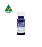 Eucalyptus (Lemon Scented) - Aromae Essentials