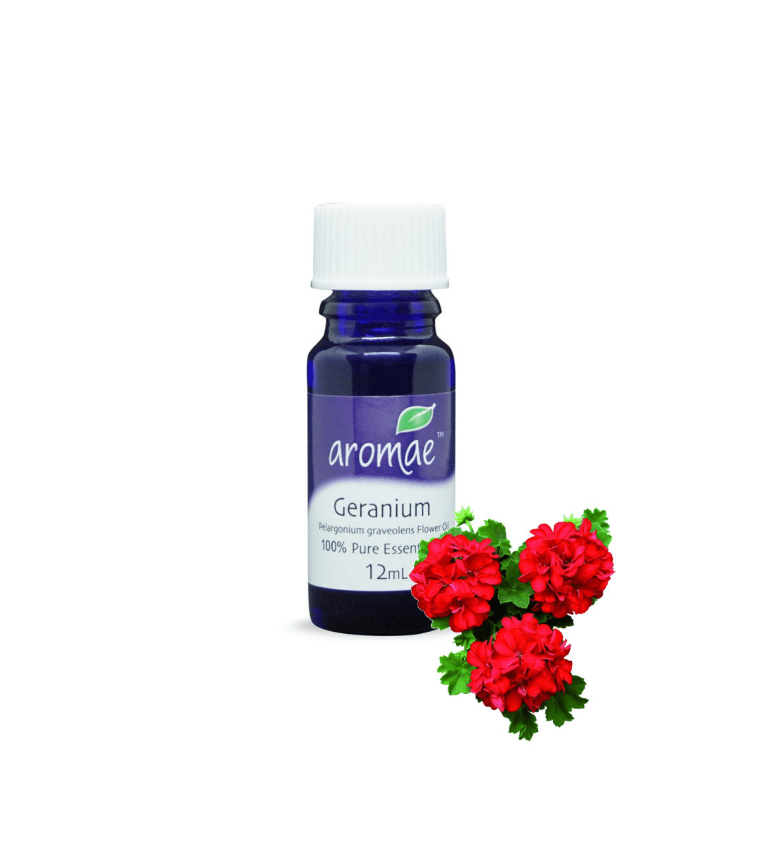 Geranium - Aromae Essentials