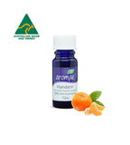 Mandarin - Aromae Essentials