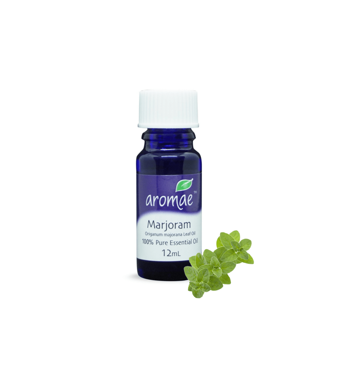 Marjoram - Aromae Essentials