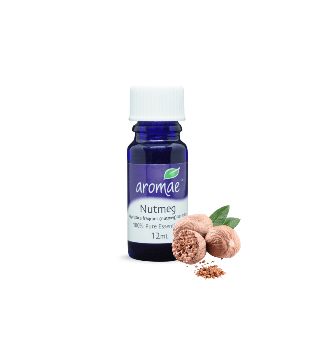 Nutmeg - Aromae Essentials
