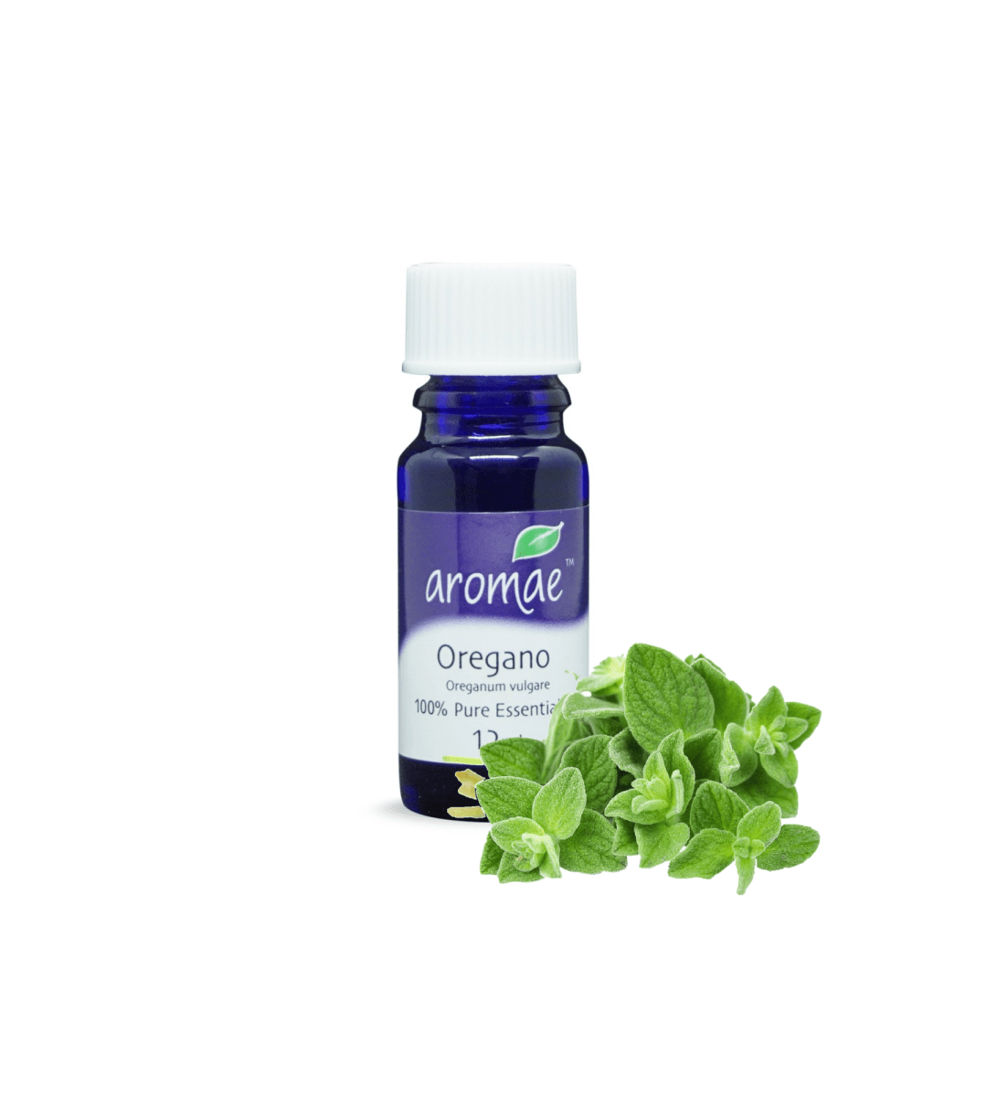 Oregano - Aromae Essentials