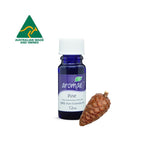 Pine - Aromae Essentials
