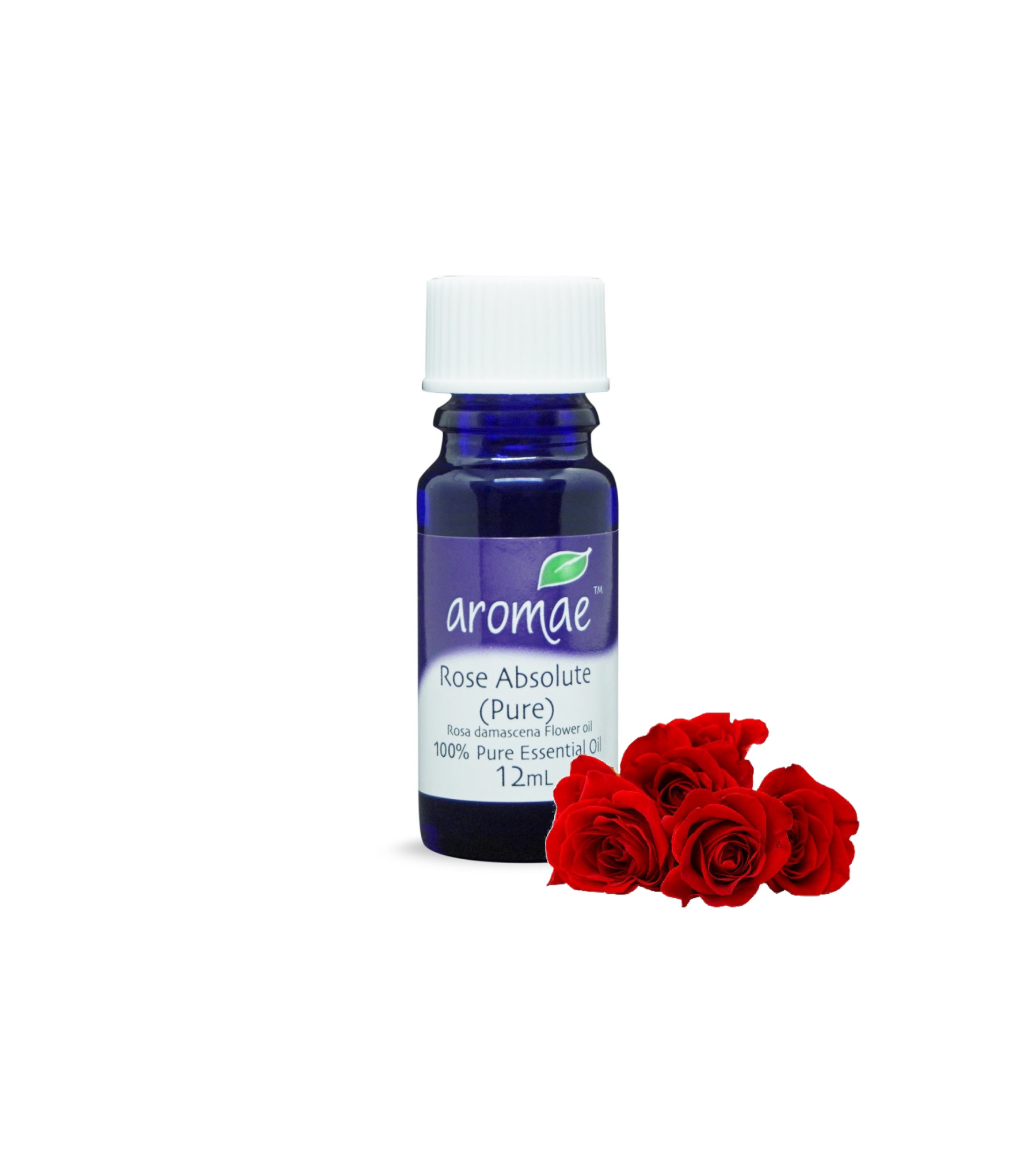 Rose Pure (Damask)