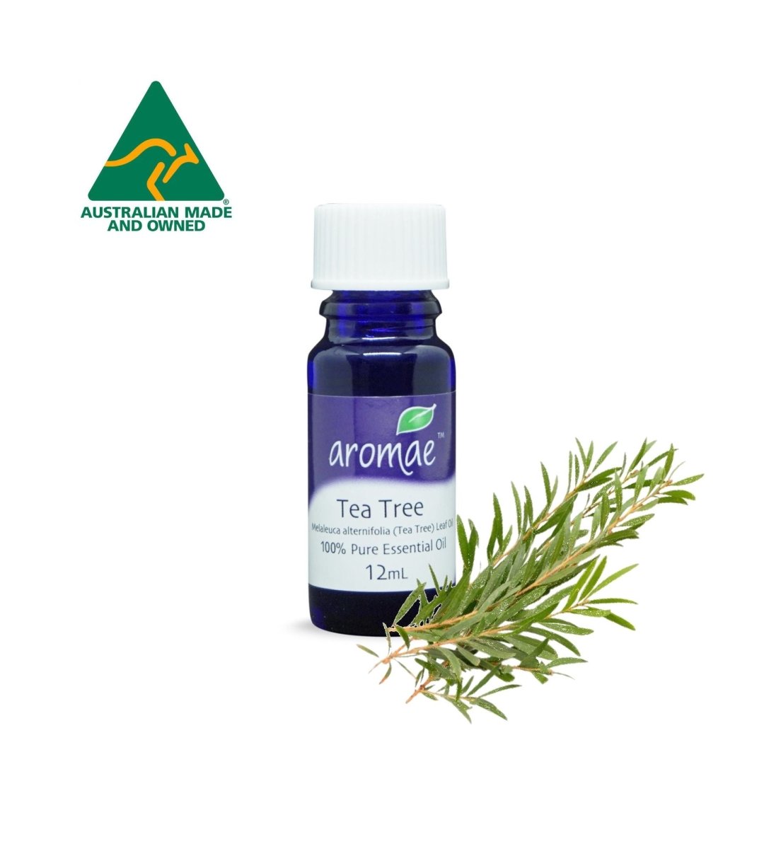 Tea Tree - Aromae Essentials