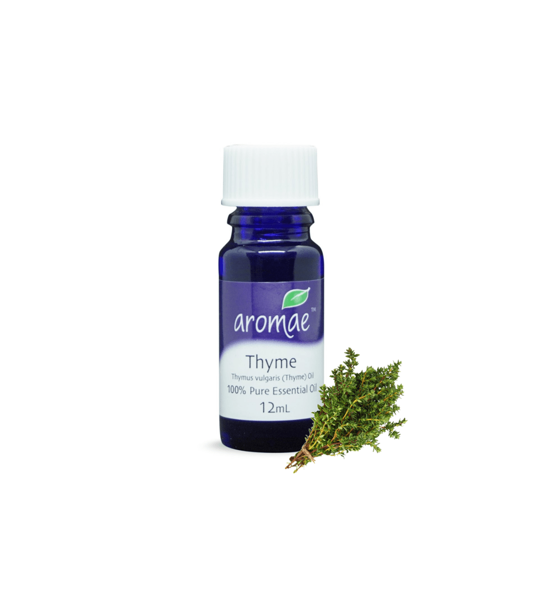 Thyme - Aromae Essentials