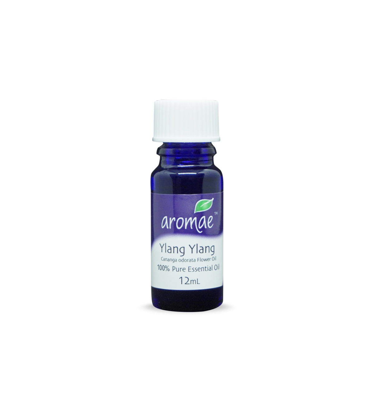 Ylang Ylang