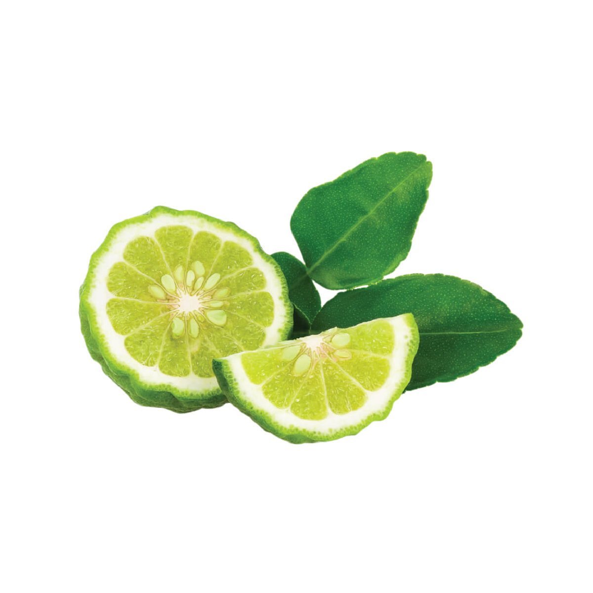 Bergamot - Aromae Essentials