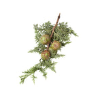 Blue Cypress - Aromae Essentials