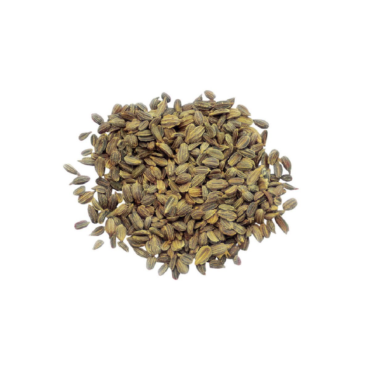 Carrot Seed - Aromae Essentials