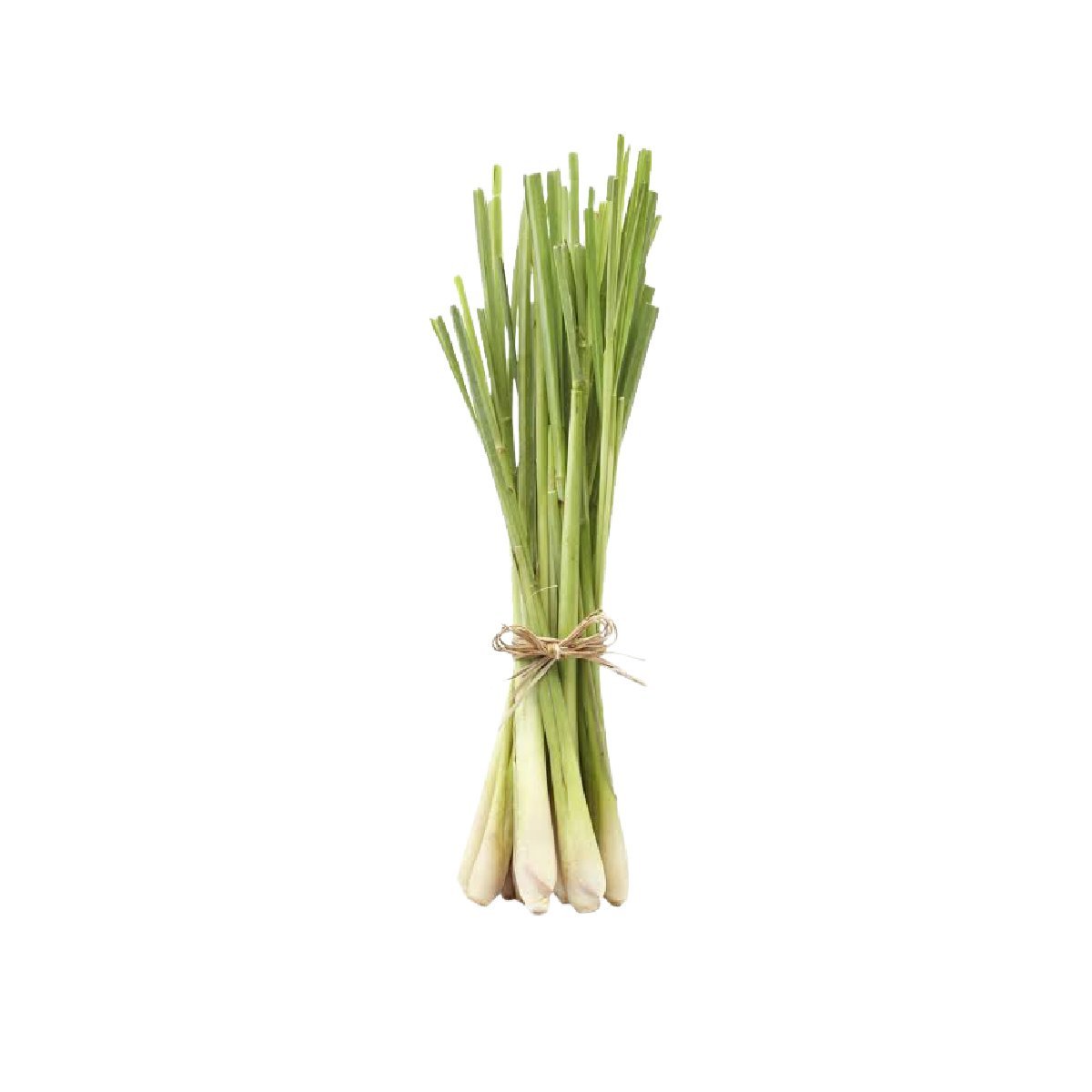Citronella - Aromae Essentials