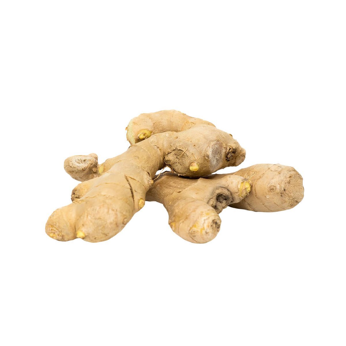 Ginger - Aromae Essentials