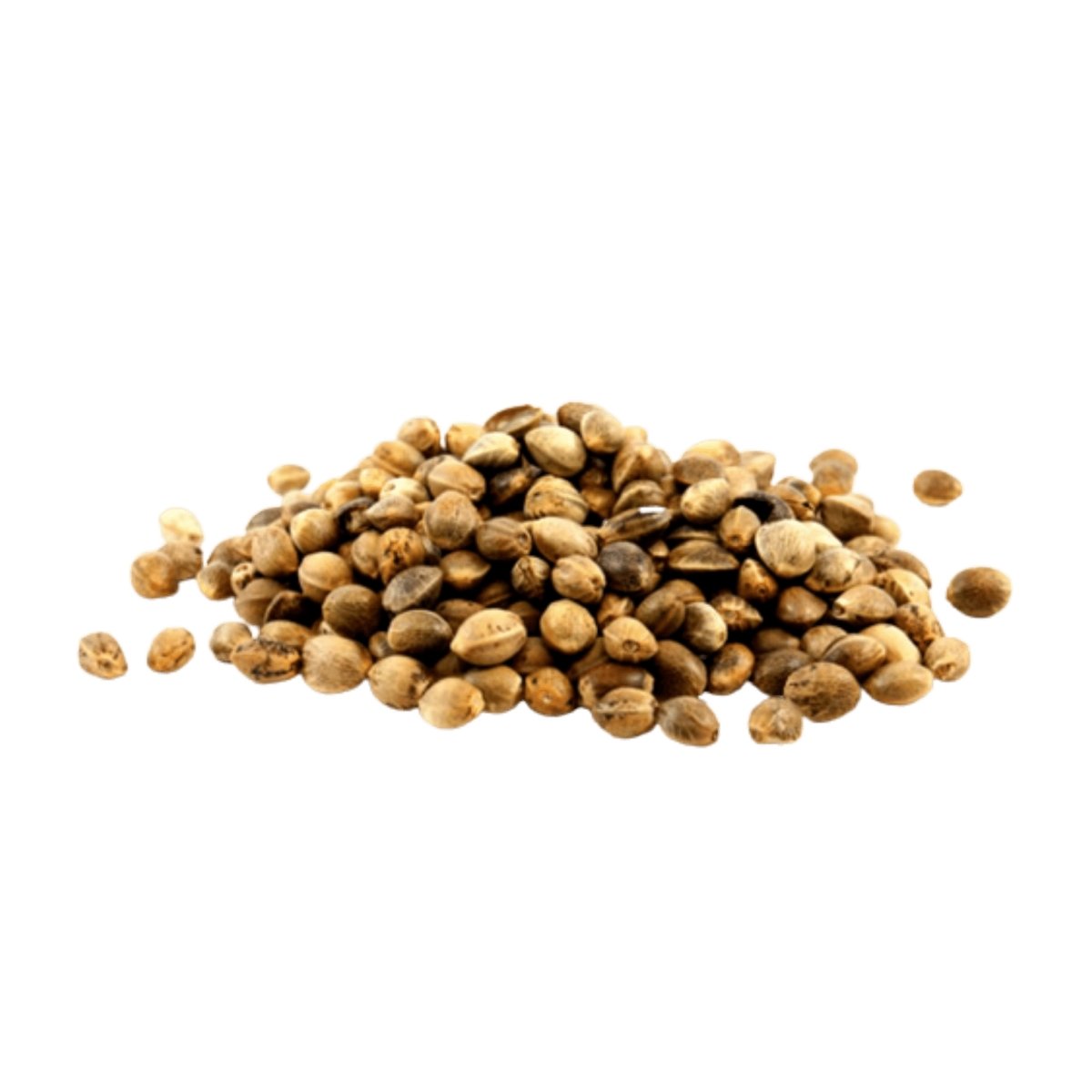 Hemp Seed Oil - Aromae Essentials