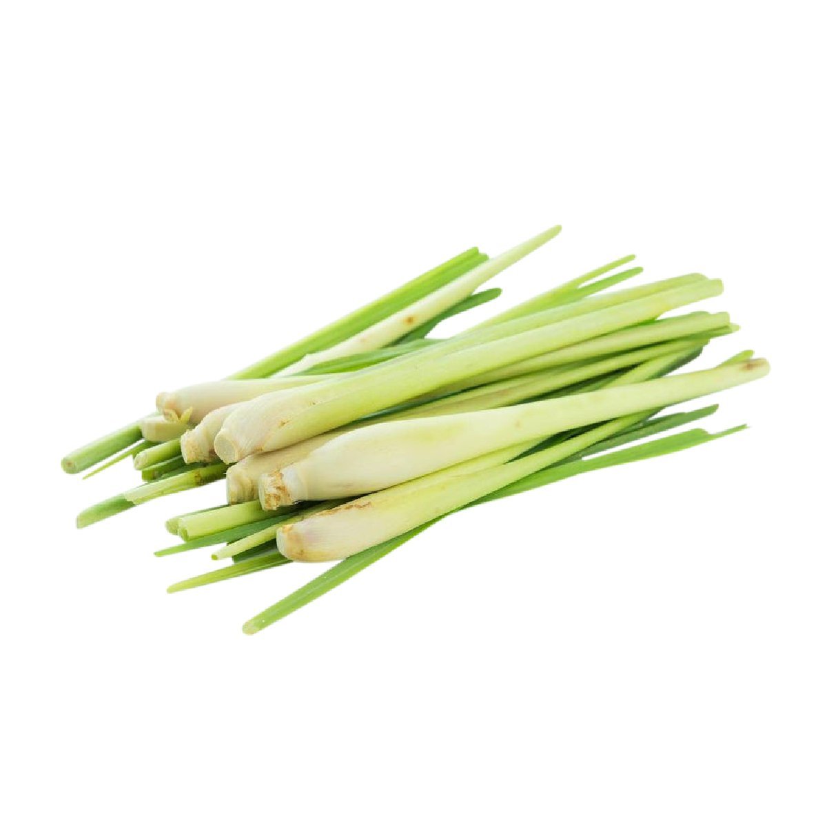 Lemongrass - Aromae Essentials